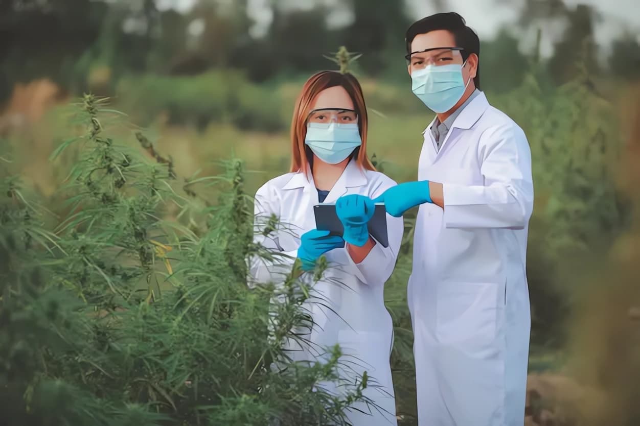 Is-CBD-effective-for-migraines