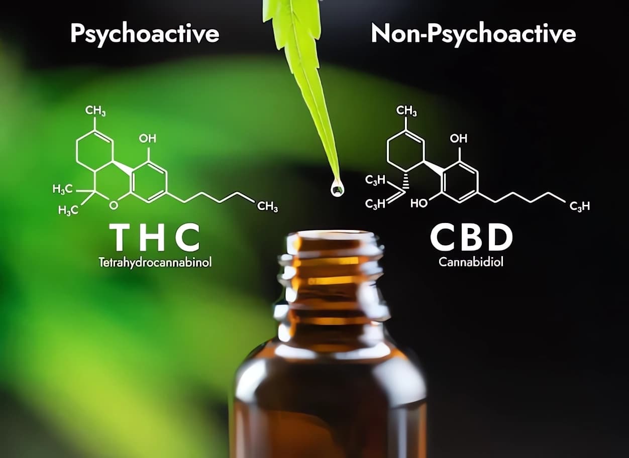 cbd-oil