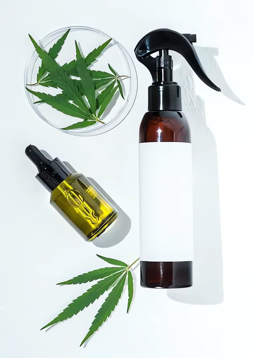 Productieproces-van-CBD-olie