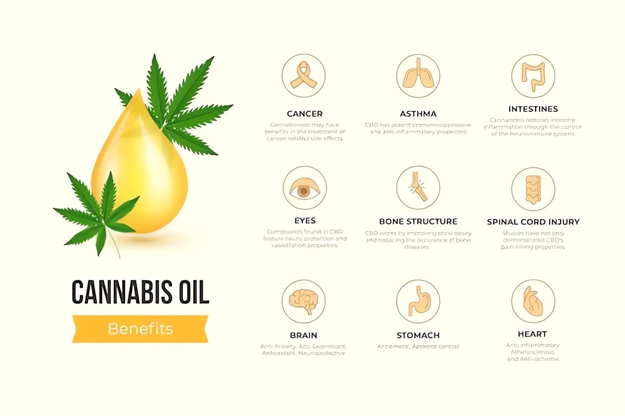 about-cannabis-oli