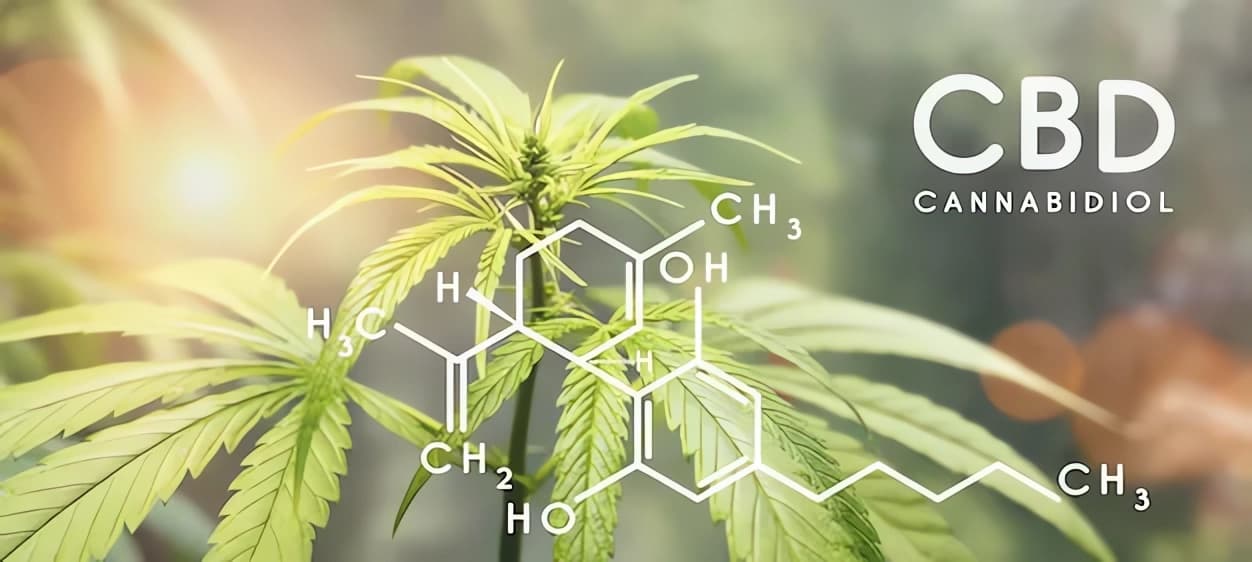 nature-of-CBD