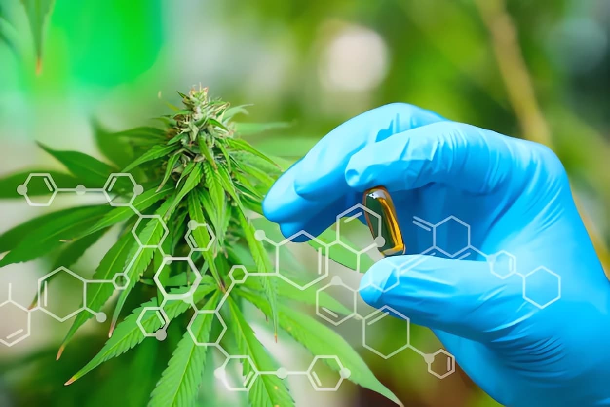 CBD-capsules-benefits