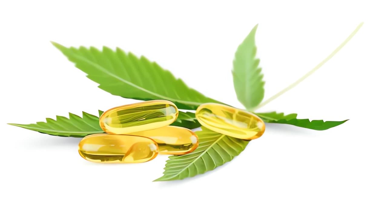 about-CBD-capsules