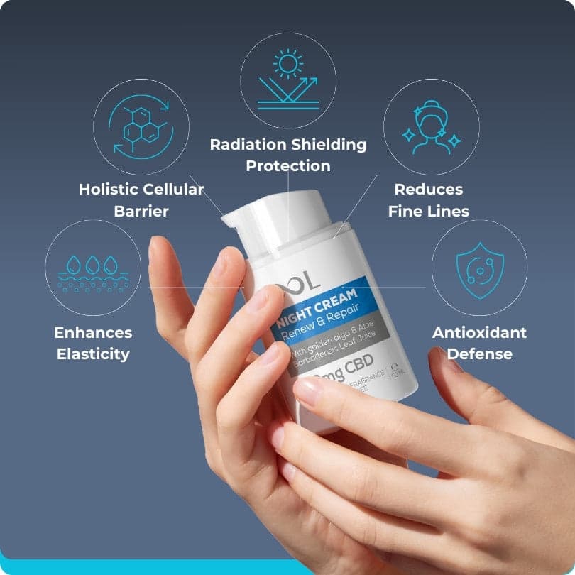 Night Facial Cream Renew & Repair 300mg CBD 50ml – Image 2