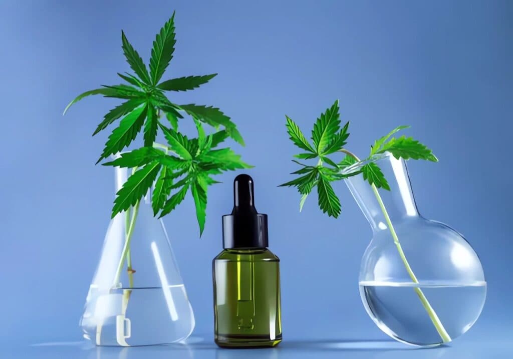 Aspects vitaux de l’huile pure de CDB